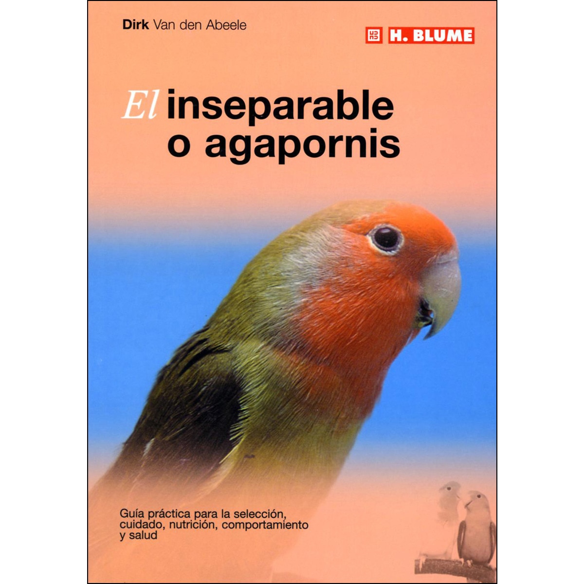 Imagem 0 de El inseparable o agapornis
