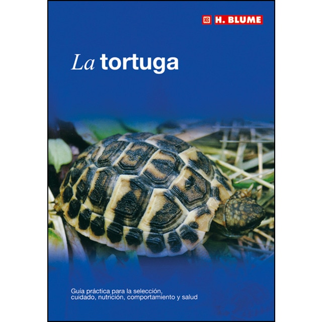 La tortuga 1