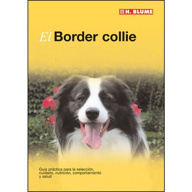 El border collie 1