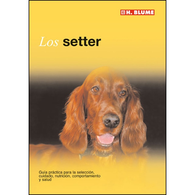 El setter 1