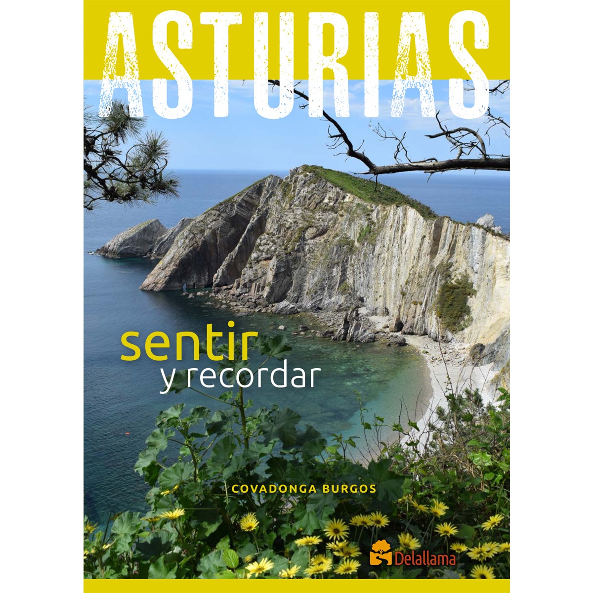 Imagem 0 de Asturias. Sentir Y Recordar