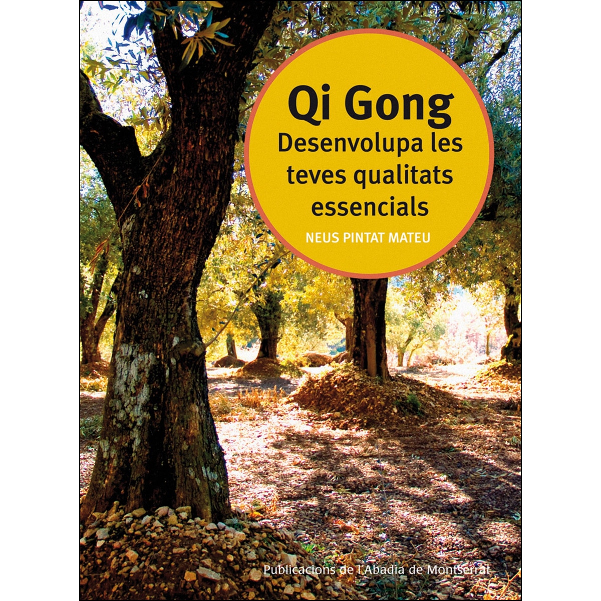 Desenvolupa les teves qualitats essencials (Capa mole) 1