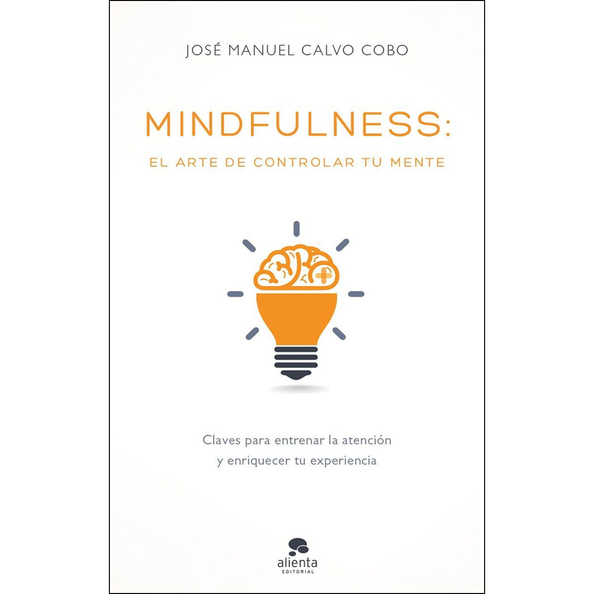 Mindfulness: el arte de controlar tu mente (Capa mole com abas) 1