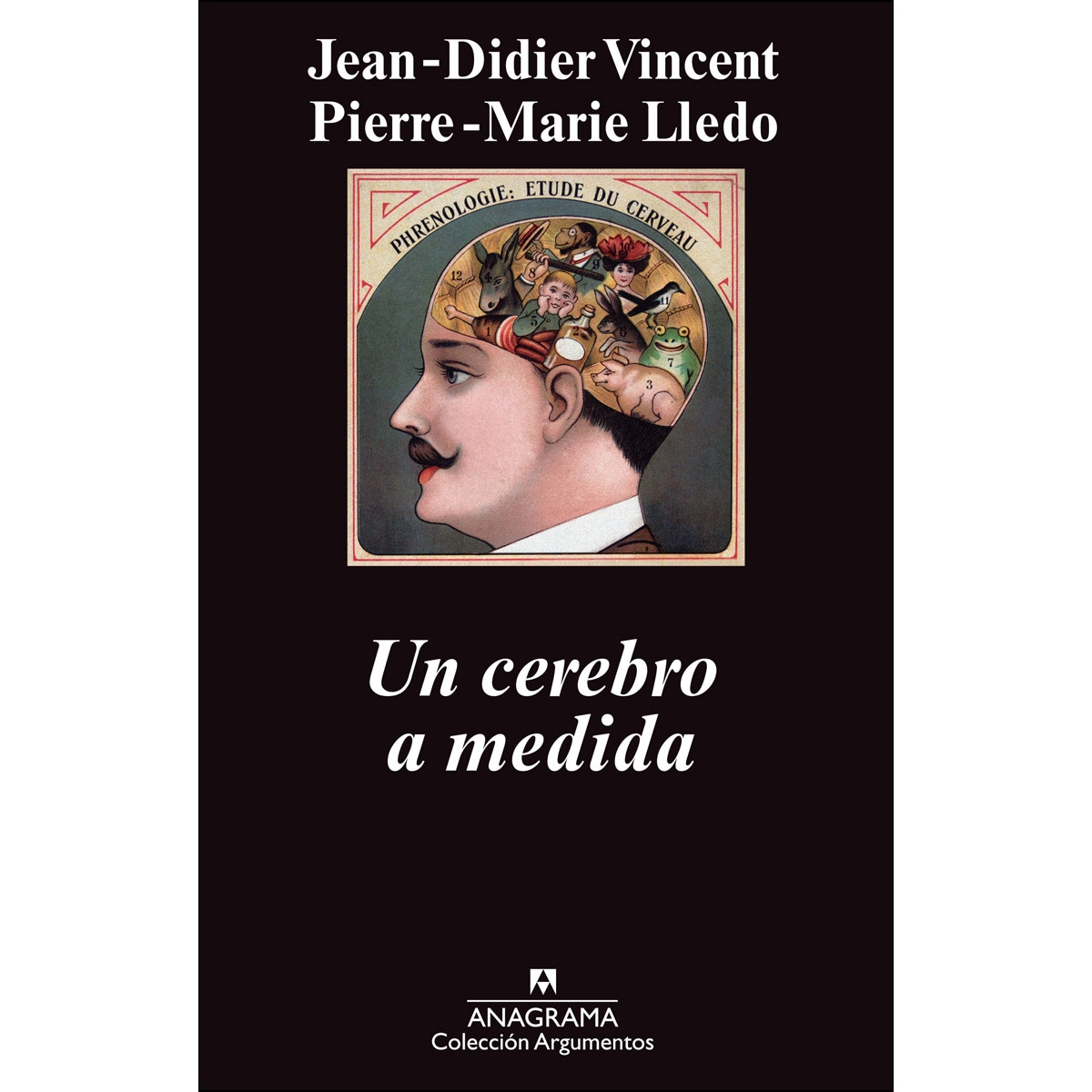 Un Cerebro A Medida 1