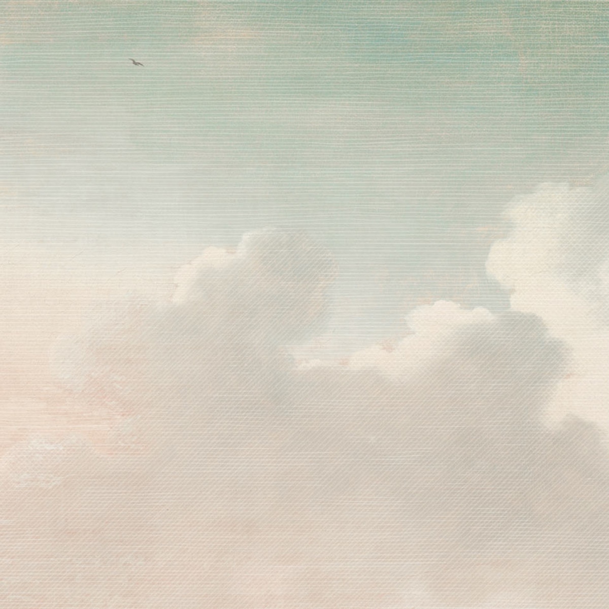 Coordonne - Mural Cielo Nubes Masterpiece