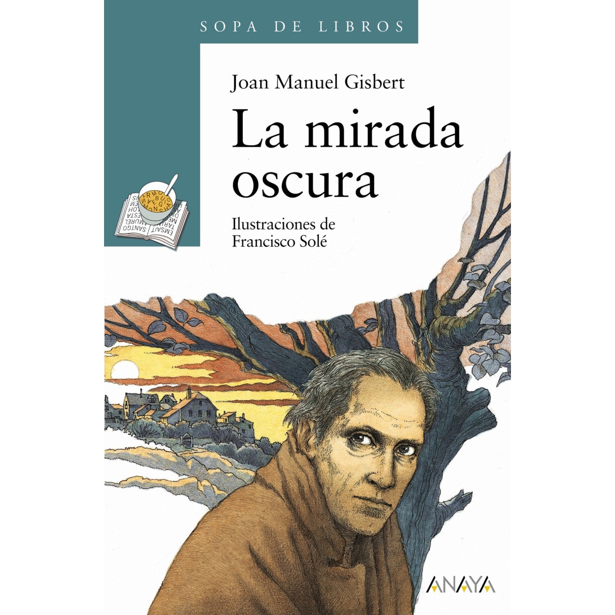 La mirada oscura  (Tapa blanda con solapas) 1