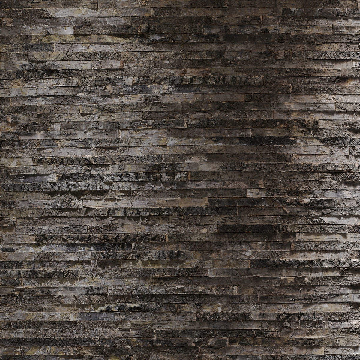 Papel de parede fotográfico Birkenrinde La Maison Multicolor-1