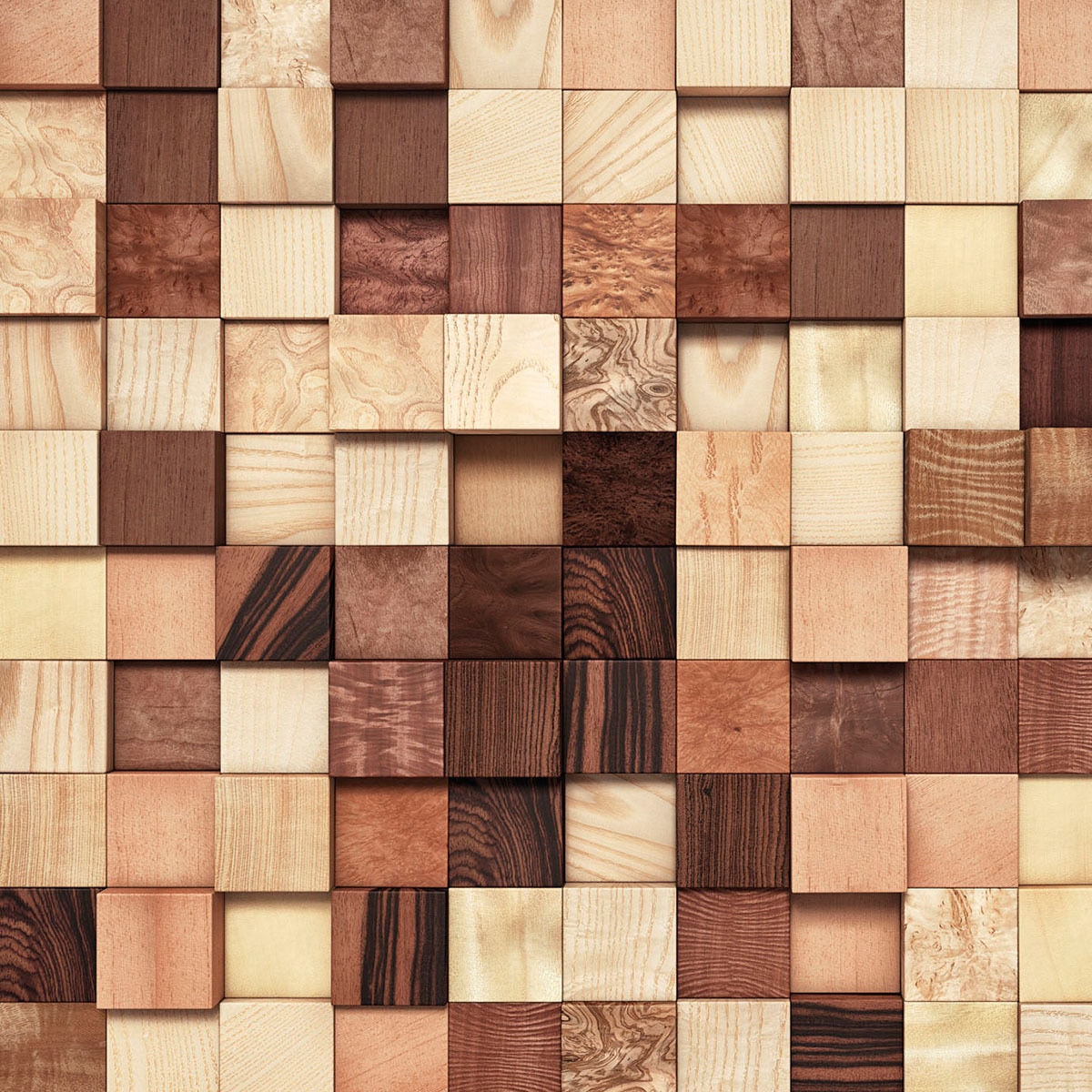 Papel de parede fotográfico Lumbercheck La Maison Multicolor-1