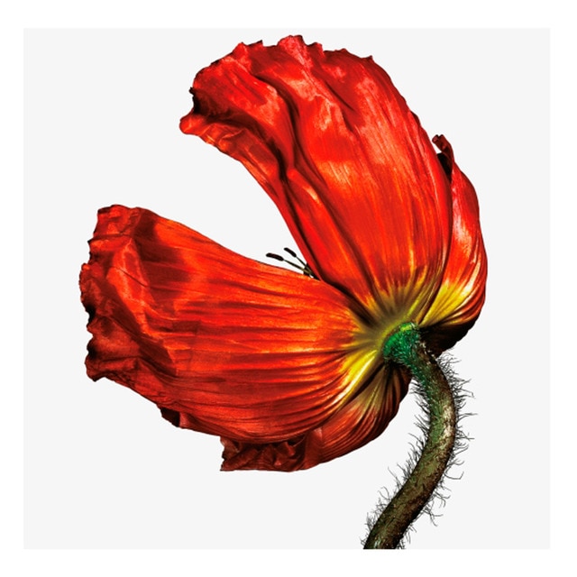 Imagen 0 de Release: Further Listening 2001-2004 (3 CD)