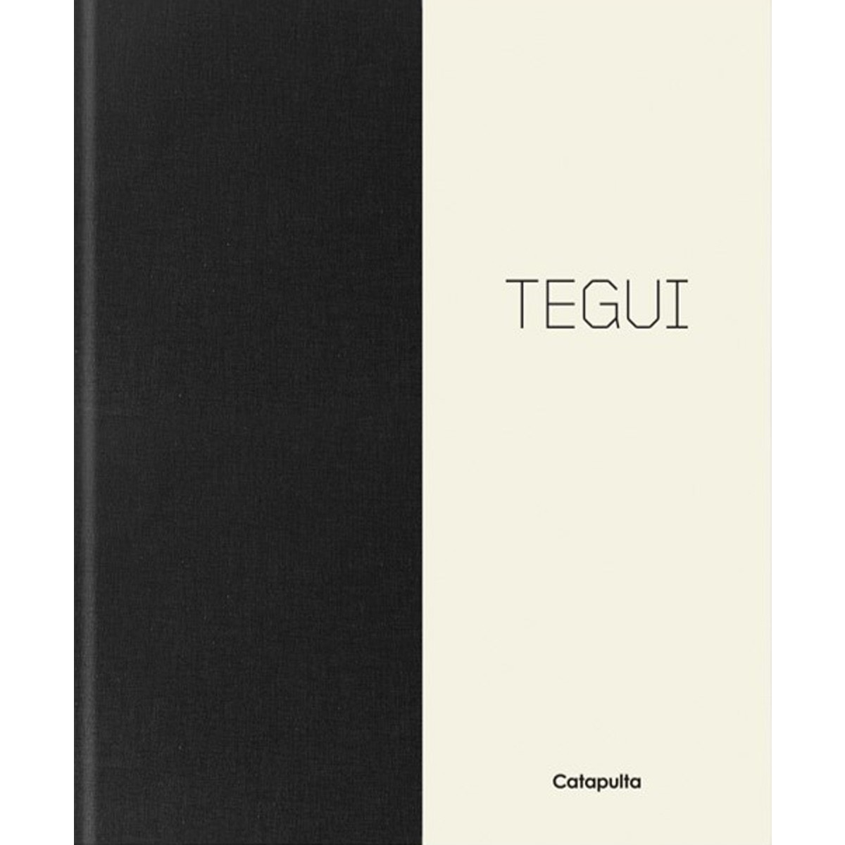 Tegui NE (Capa dura) 1