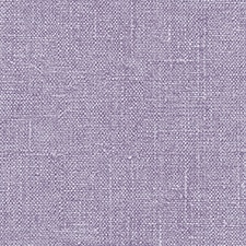 Violeta