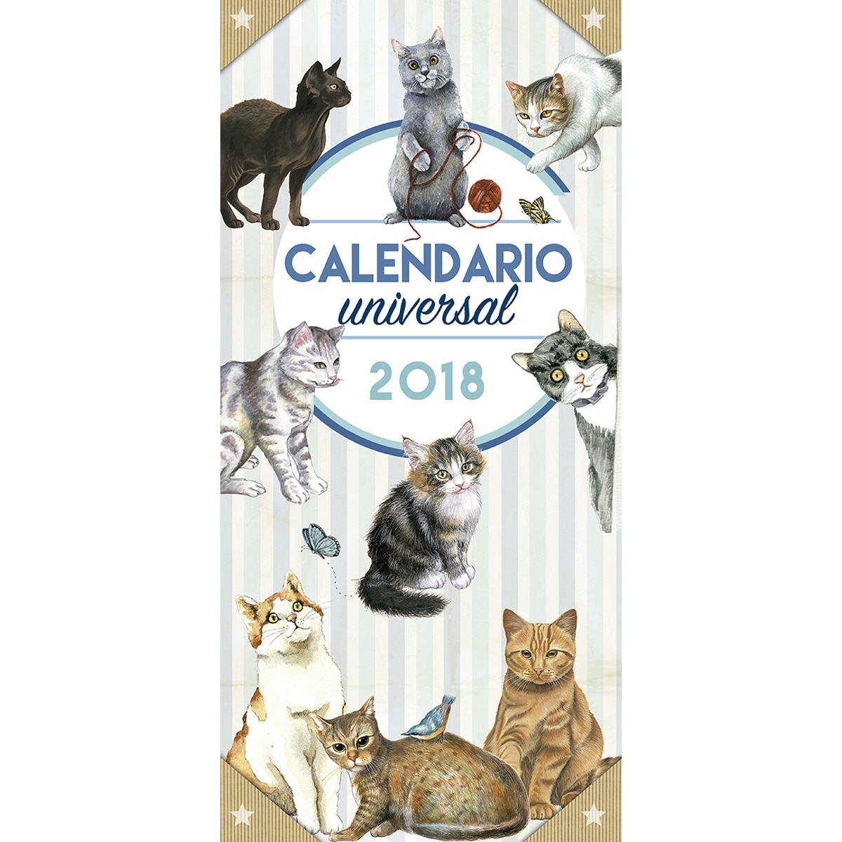Clases de gatos (Capa mole) 1