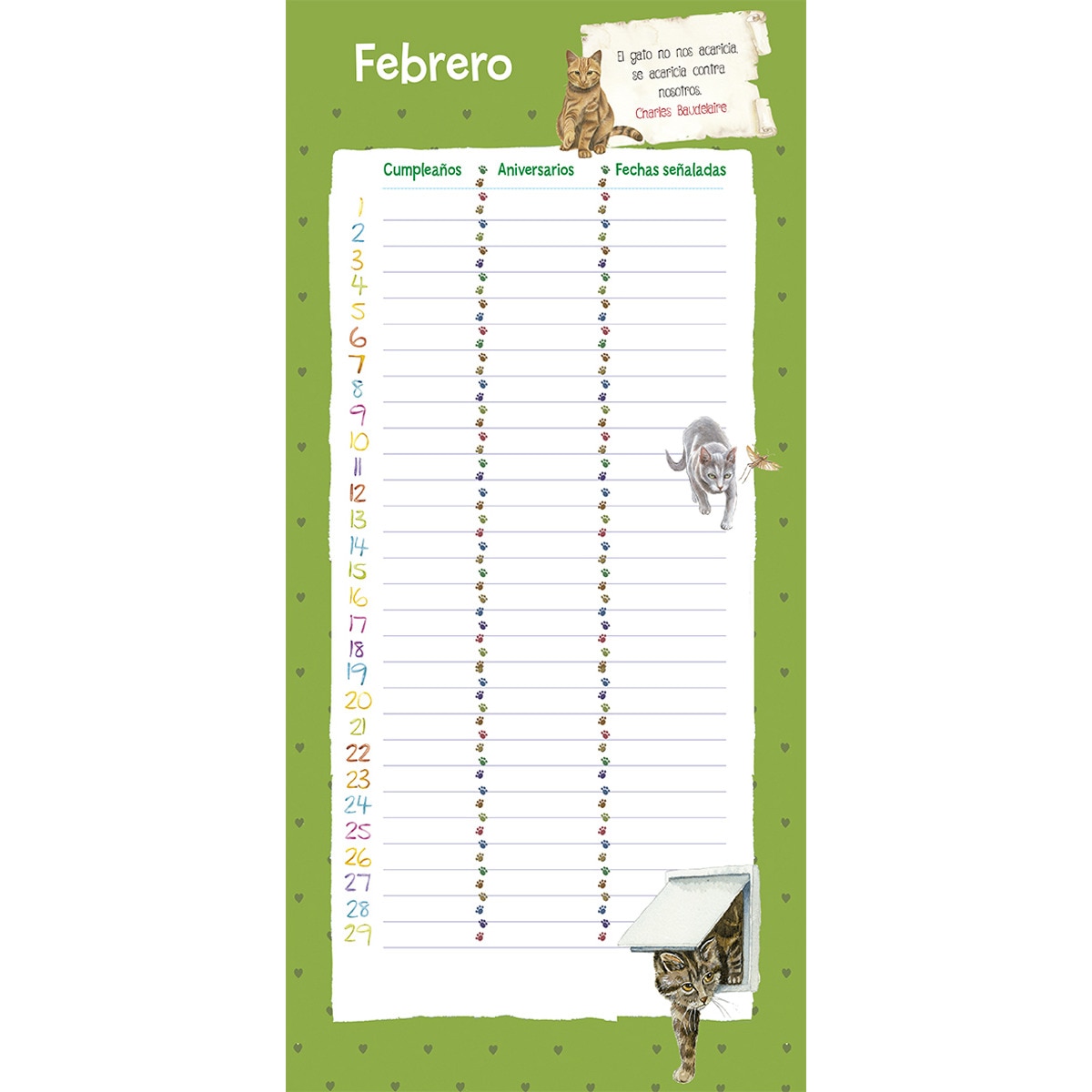 Clases de gatos (Capa mole) 2