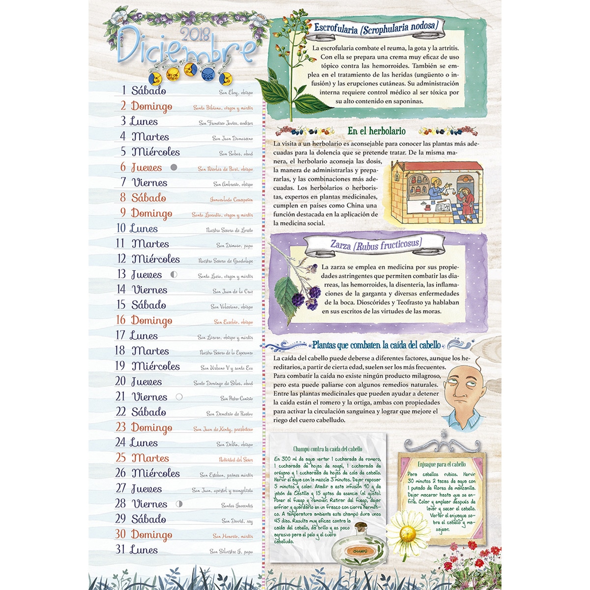 Lunario plantas medicinales 2018 2