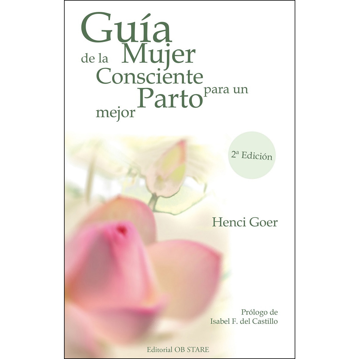 Guía De La Mujer Consciente Para Un Parto Mejor 1