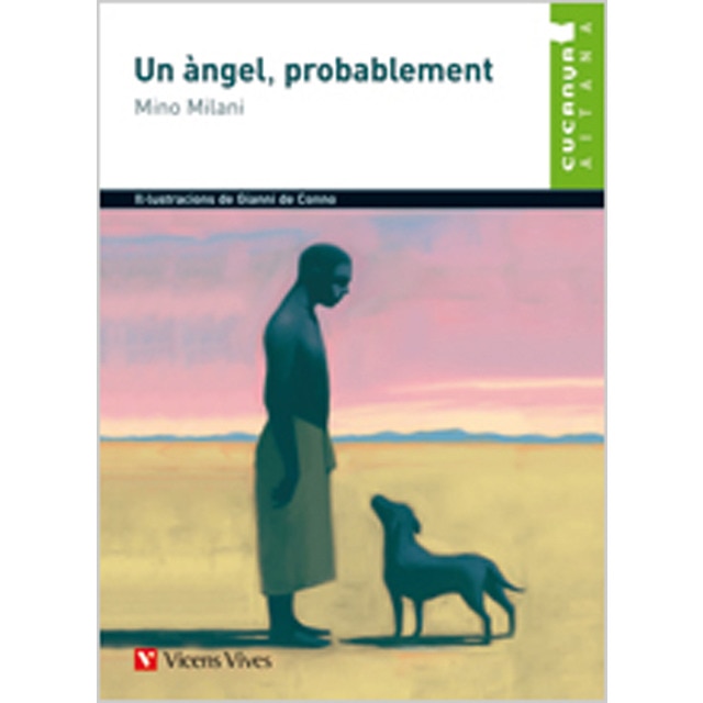 Un Angel, Probablement. Material Auxiliar (Capa mole) 1