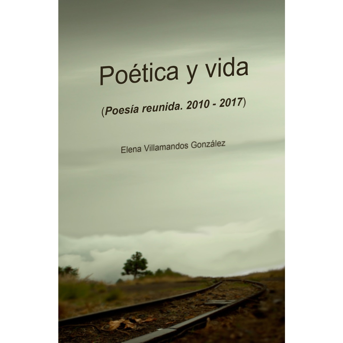 Poética y vida 1