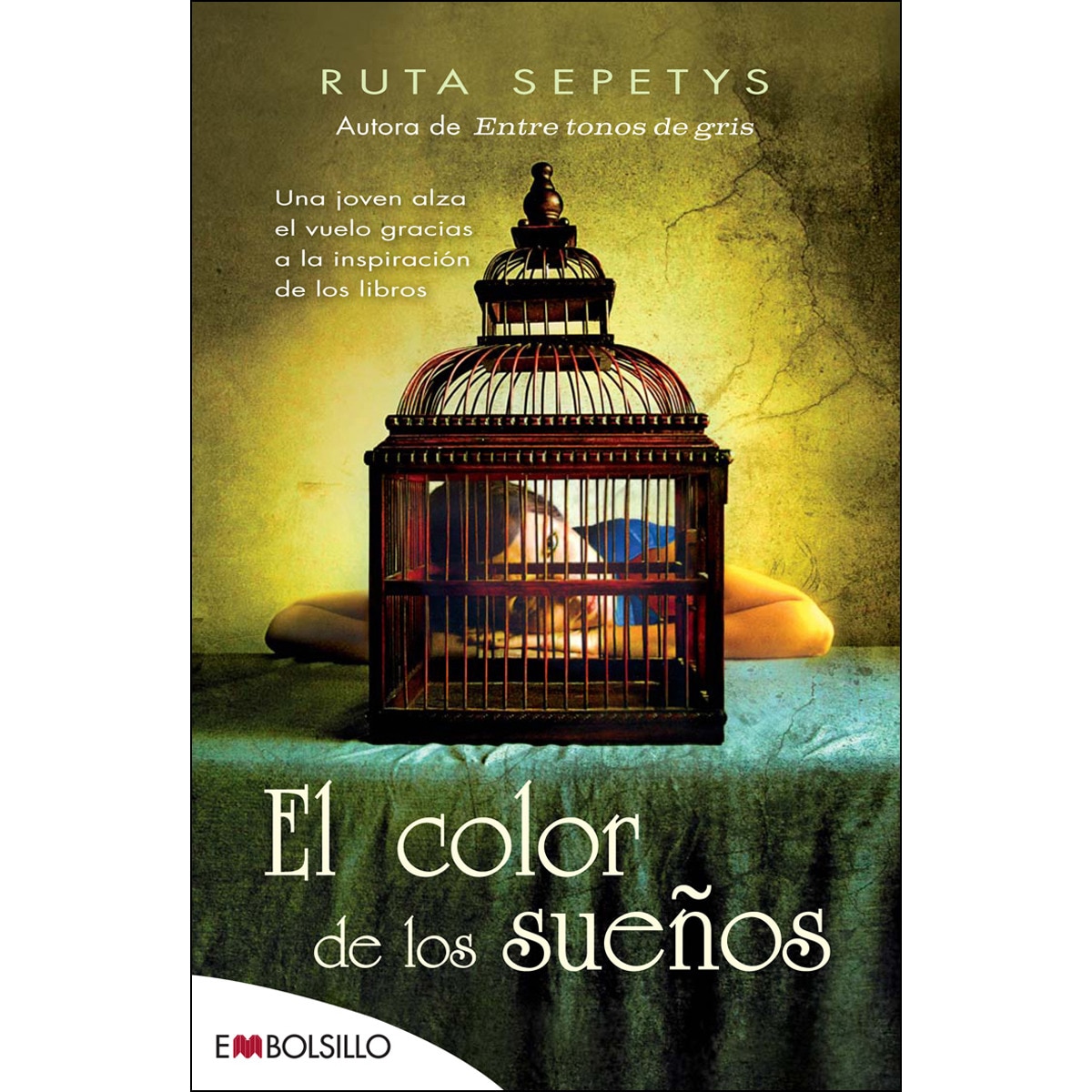 Imagem 0 de El color de los sueños: Una joven alza el vuelo gracias a la inspiración de los libros. (Bolso) (Capa mole)