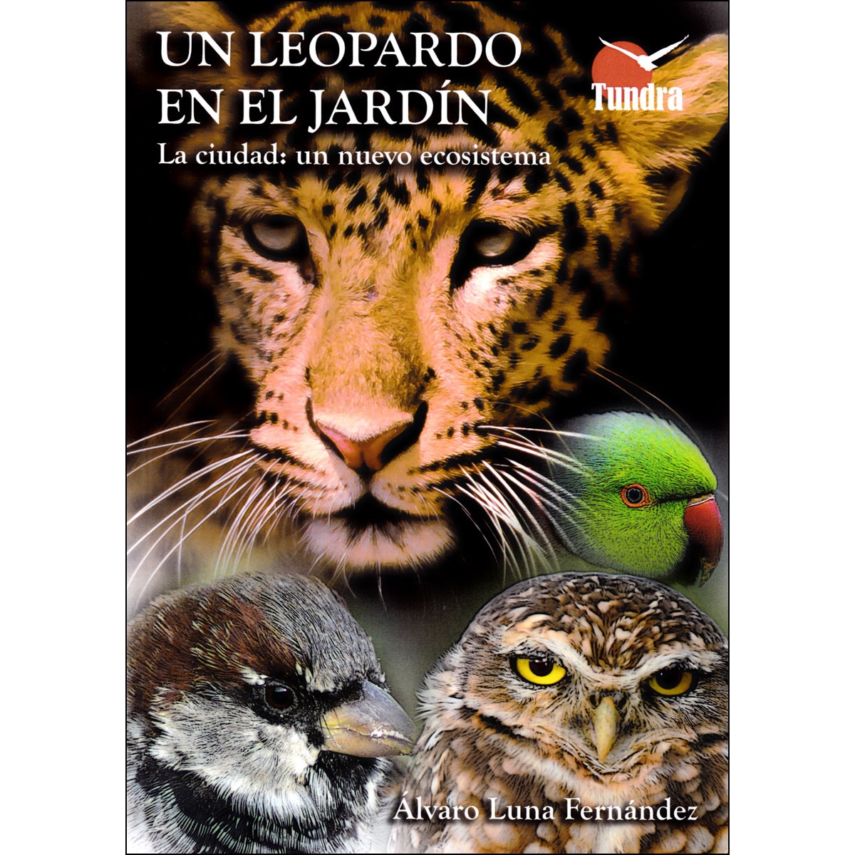 Imagem 0 de Un Leopardo En El Jardín