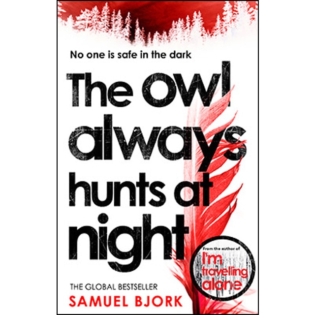 Imagen 0 de The owl always hunts at night