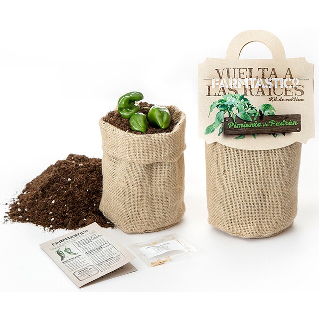 Imagen 0 de Kit de Siembra Gastrojardín Vuelta a las Raíces Pimiento de Padrón