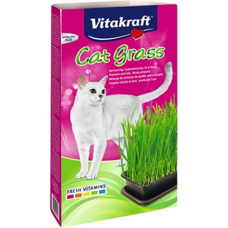 Cat Grass hierba snack para gatos caja 120 g - Vitakraft