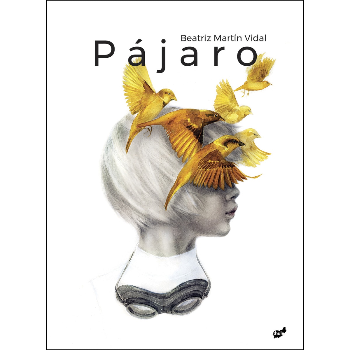 Imagem 0 de Pájaro(Tapa dura)