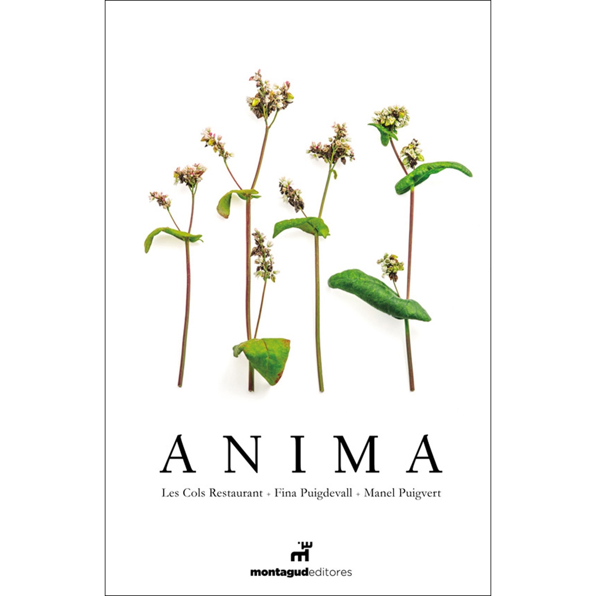 Imagem 0 de Anima(Tapa blanda)