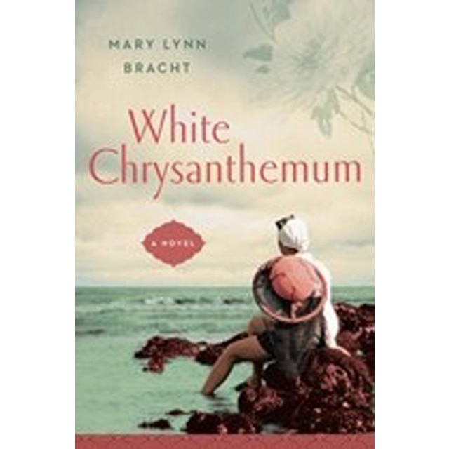 White Chrysanthemum 1
