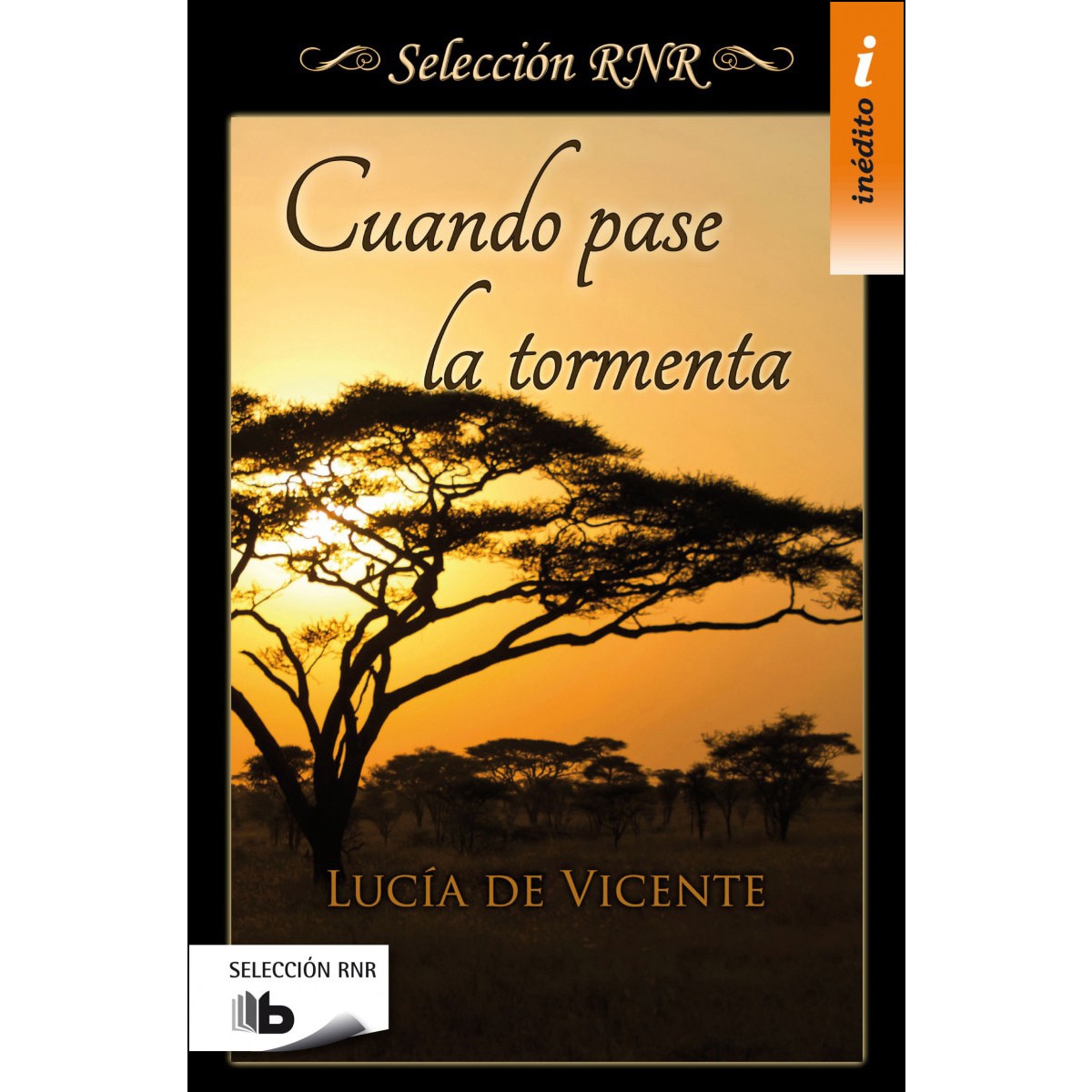Cuando pase la tormenta(Bolsillo) (Tapa blanda) 1