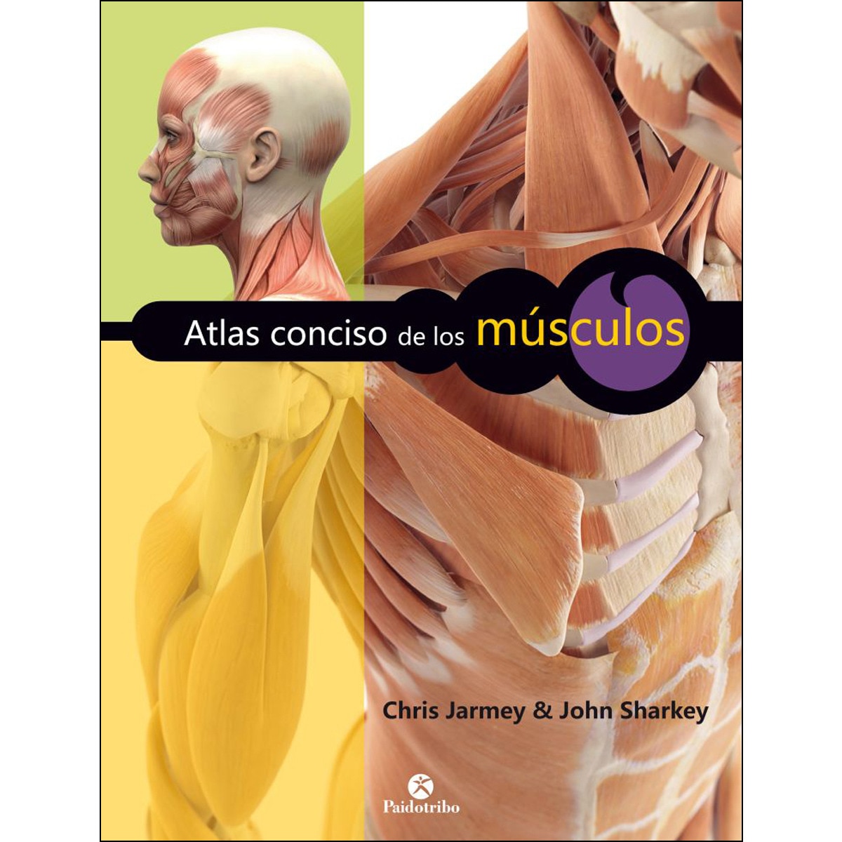 Atlas conciso de los músculos (Color) (Capa mole) 1