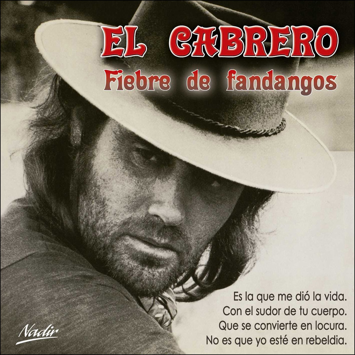 Imagen 0 de Fiebre de fandangos (CD)