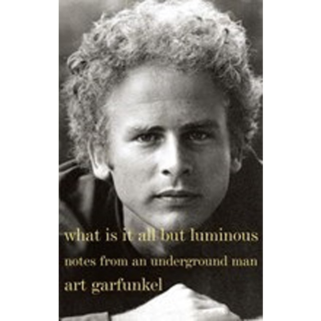 Imagem 0 de What Is It All But Luminous