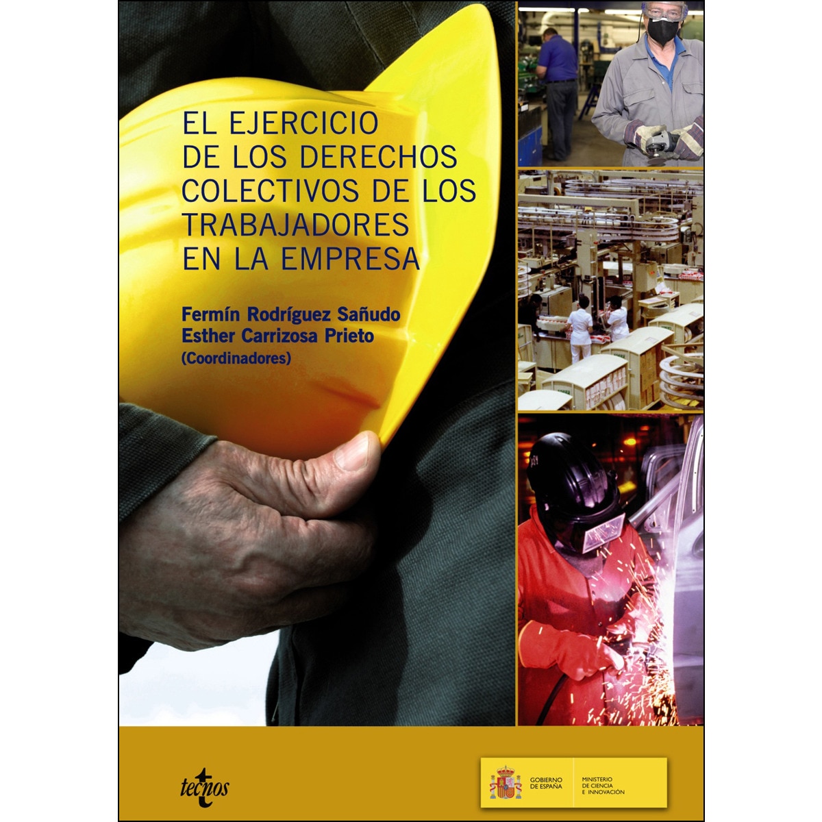 Imagem 0 de El ejercicio de los derechos colectivos de los trabajadores en la empesa(Tapa blanda)