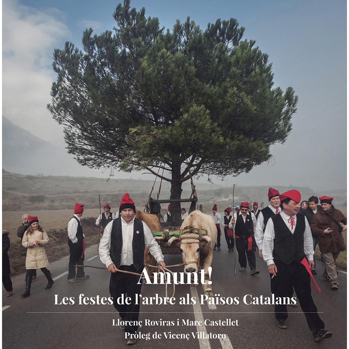 Imagem 0 de Amunt!: Les festes de l'arbre als països catalans(Tapa blanda)
