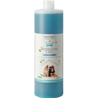 Detergente Concentrado de Tangerina embalagem 1 L - Derbe