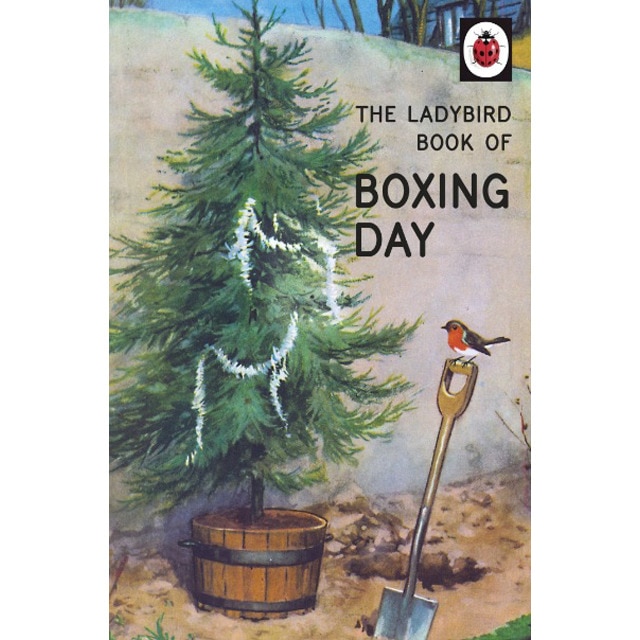 Ladybird Book Of Boxing Day 1