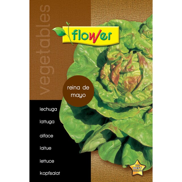 Imagen 0 de Sobre semillas lechuga