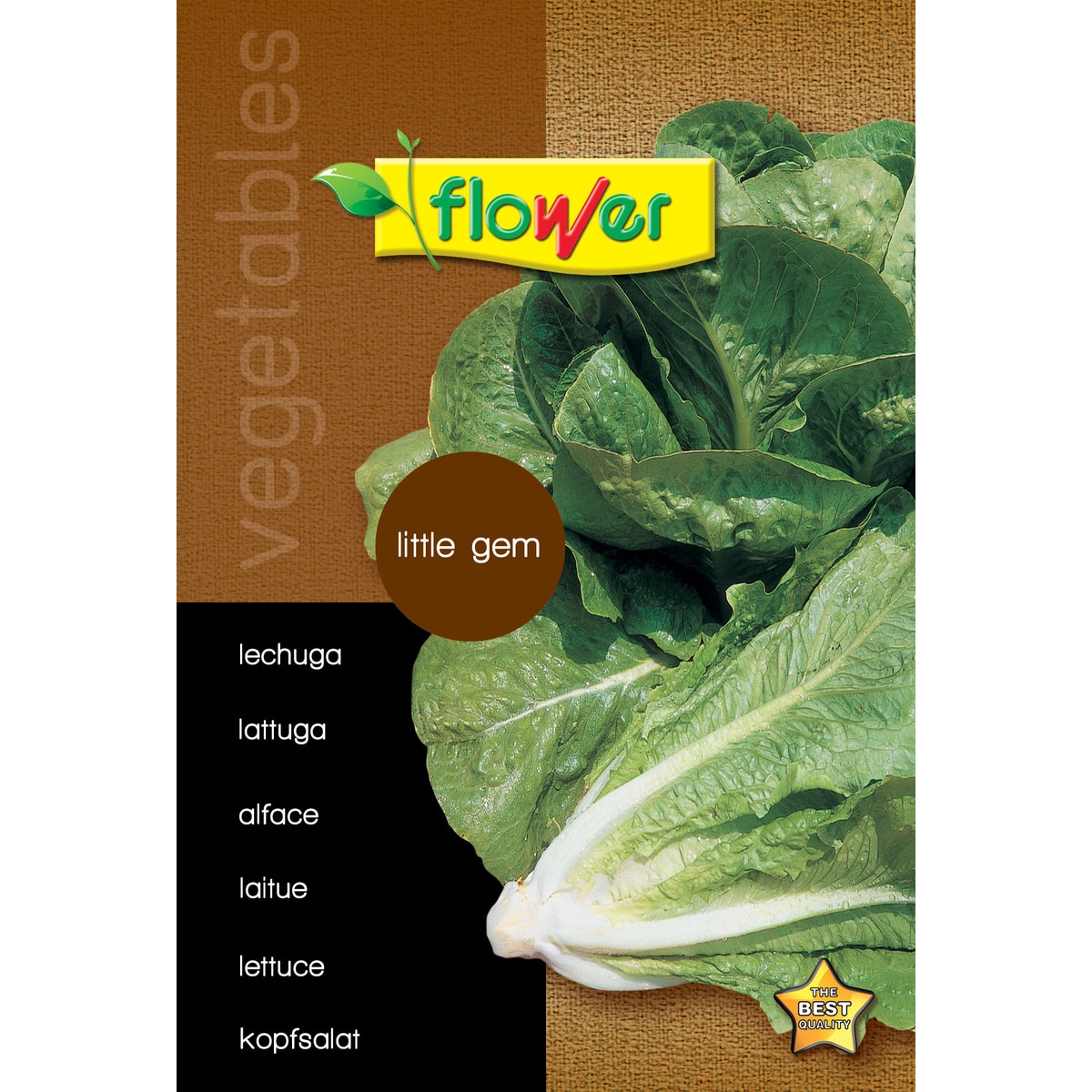 Sobre semillas lechuga 1