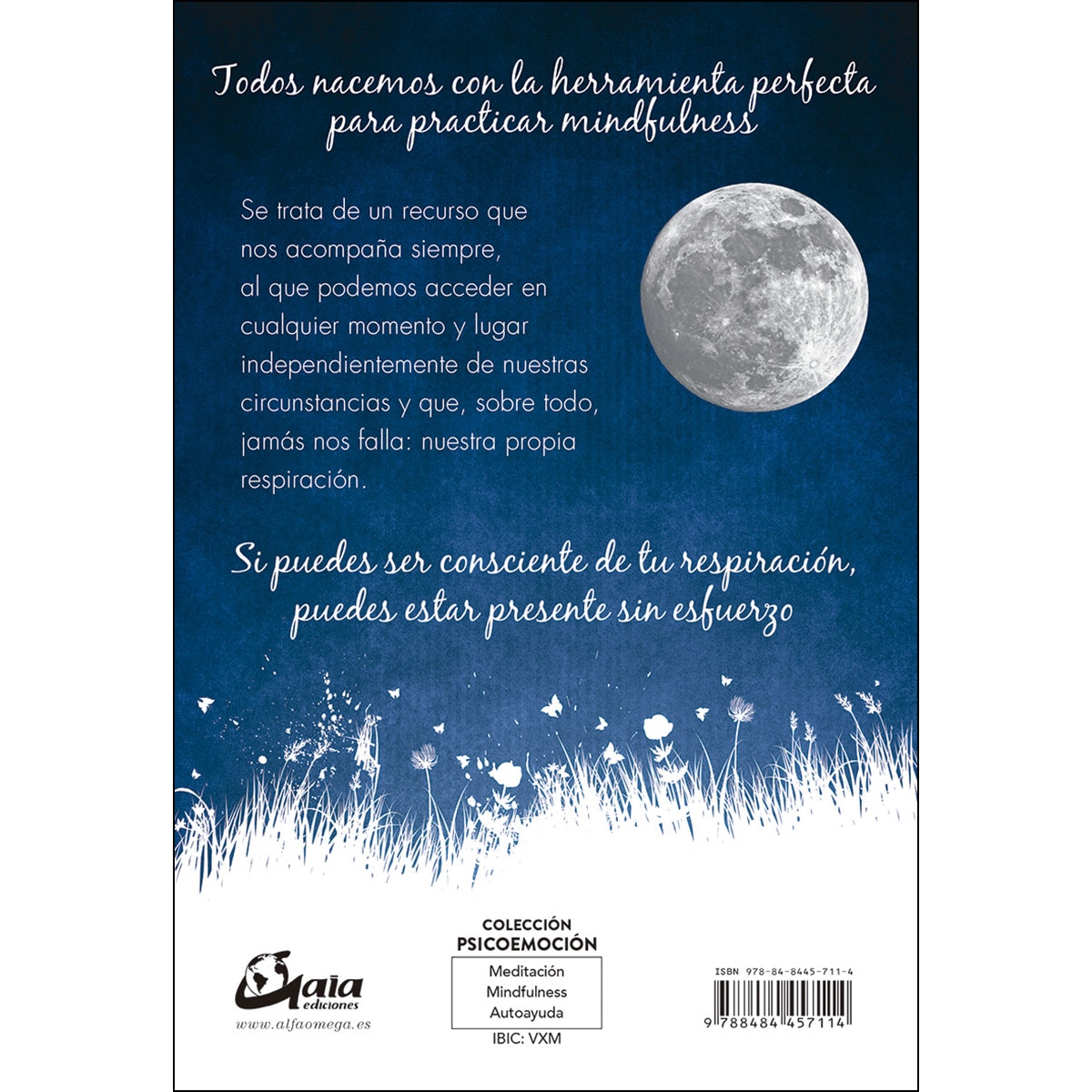 Imagem 0 de Respiración mindfulness: La manera más sencilla de alcanzar la atención plena(Tapa blanda)