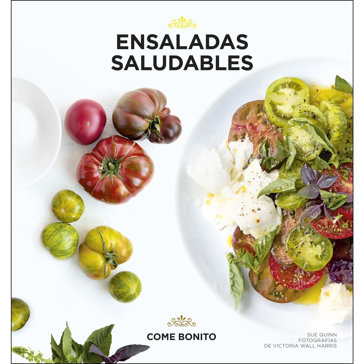 Ensaladas saludables (Capa mole com abas) 1