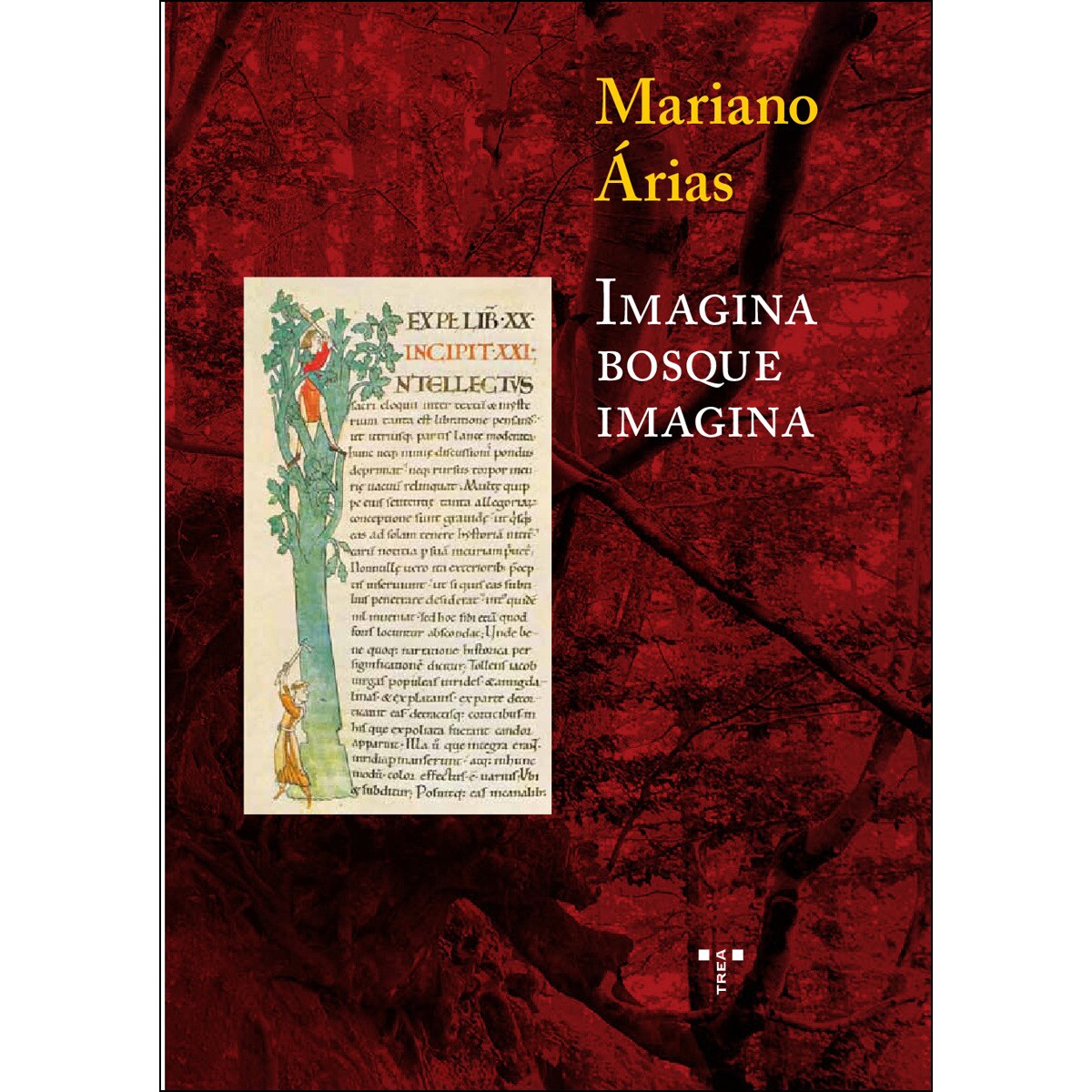 Imagem 0 de Imagina bosque imagina(Tapa blanda)