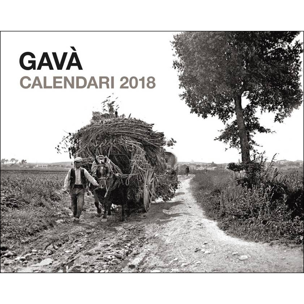 Gavà calendari 2018 1