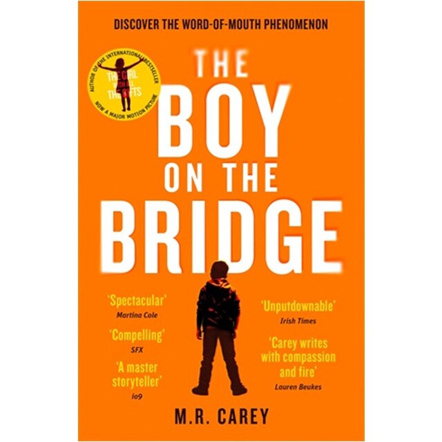 The Boy On The Bridge 1