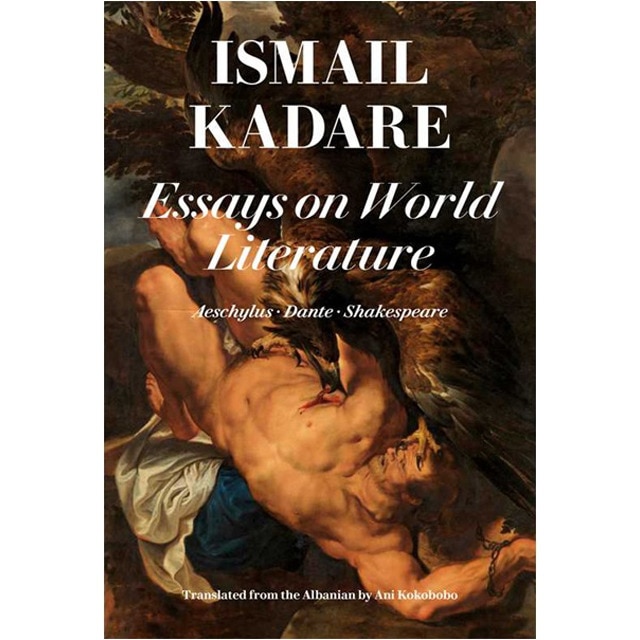 Essays On World Literature 1