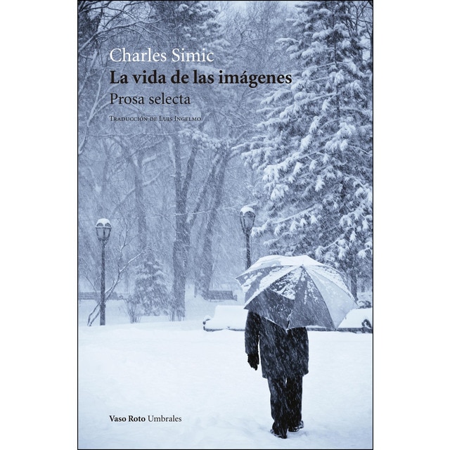Imagen 0 de La vida de las imágenes (Tapa blanda)