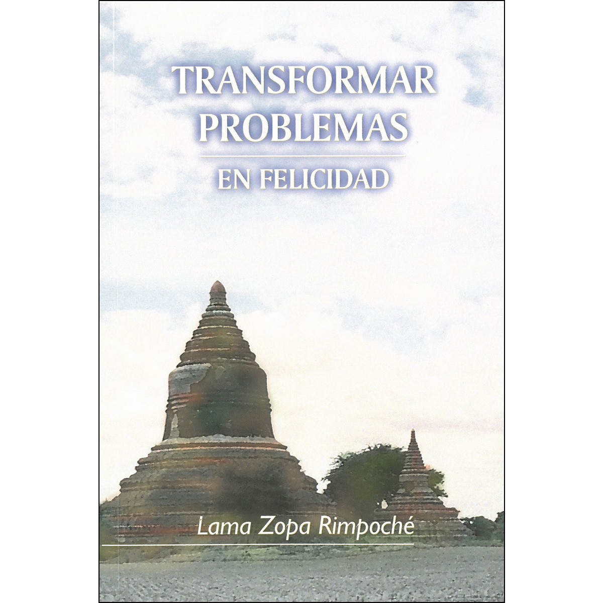 Transformar Problemas En Felicidad 1