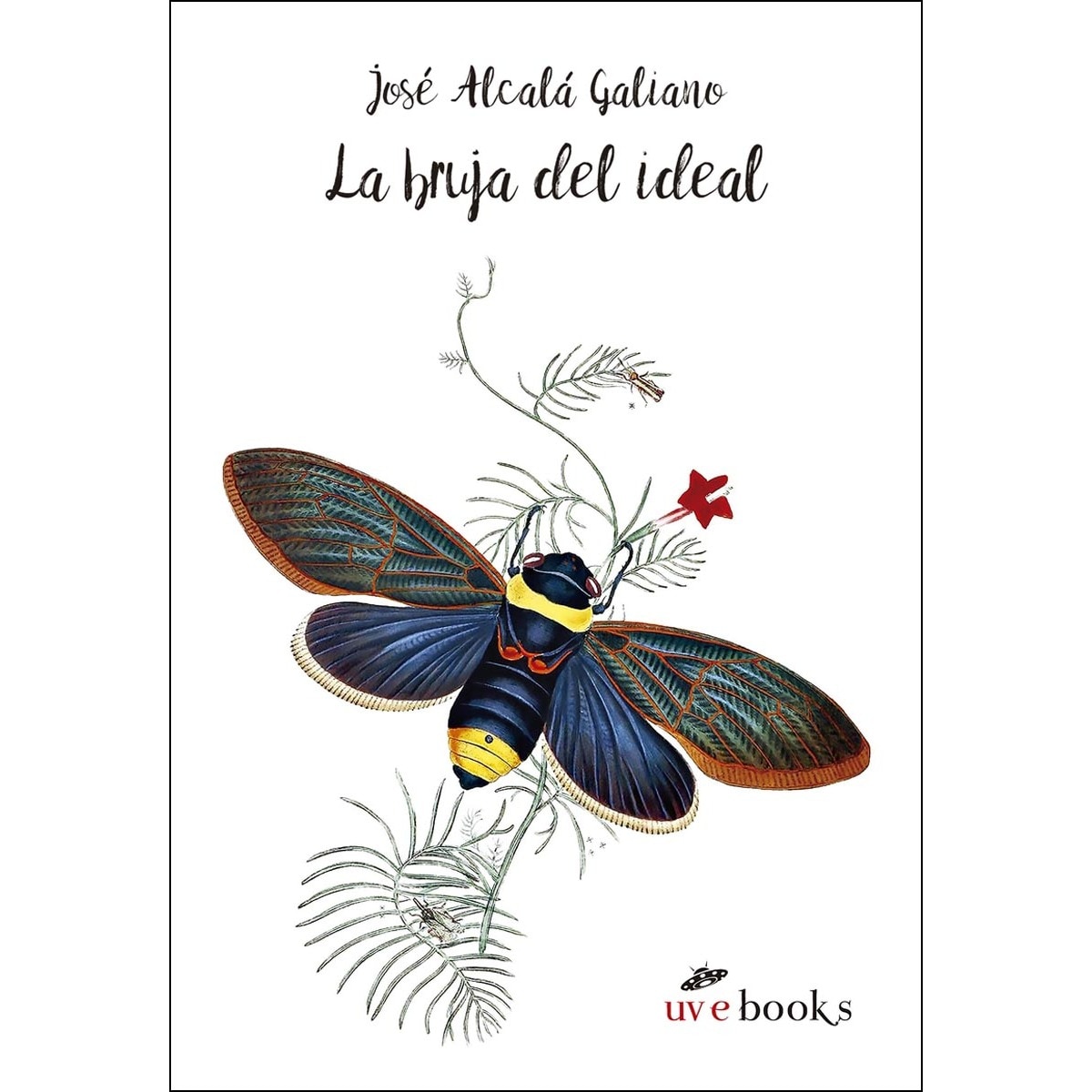 Imagem 0 de La Bruja Del Ideal: Cuento Soñado