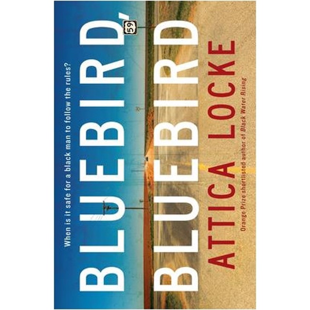 Bluebird, Bluebird 1