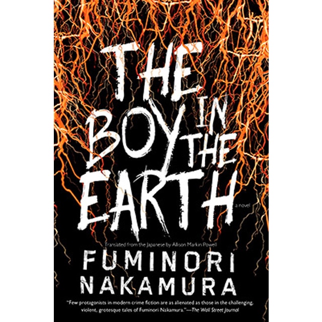 Imagem 0 de The Boy In The Earth